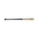 Fungo Fungo
